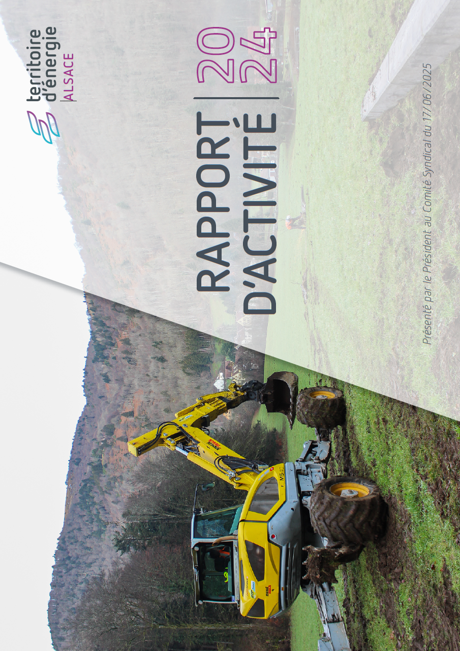 rapport d'activités 2021